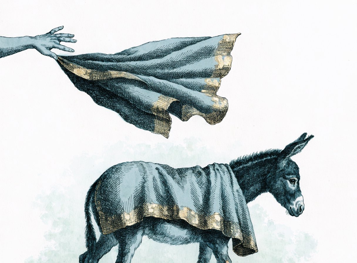 A cloak flung over the back of a young colt