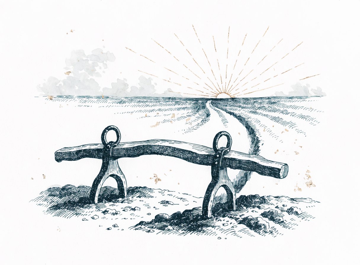 A wooden yoke resting in a field at dawn