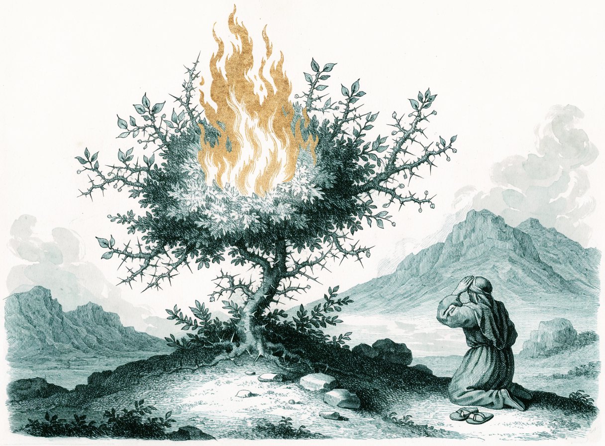 A thorny desert bush blazing with golden flames while its leaves stay green; a shepherd kneels at a distance with his sandals on the ground beside him
